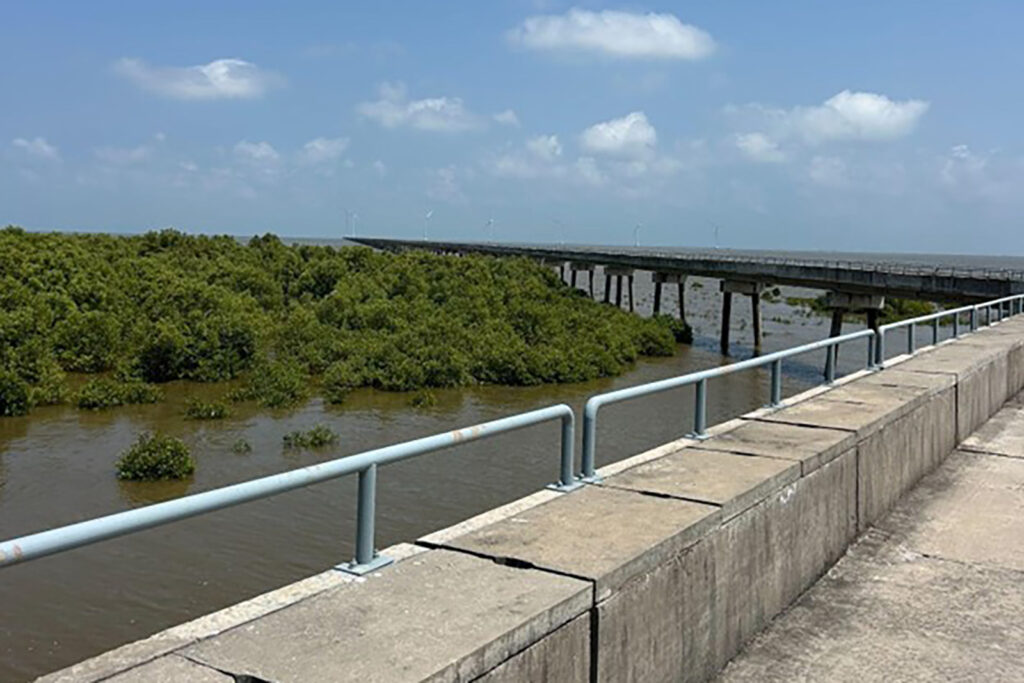 A long bridge over water with bushes to the left of the bridge.