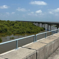 A long bridge over water with bushes to the left of the bridge.