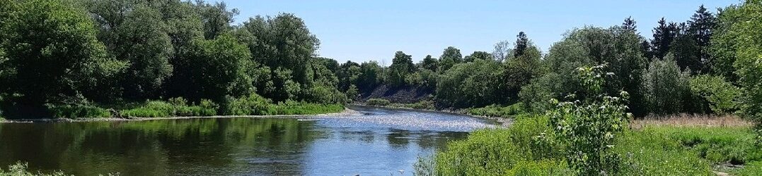 Wide view of a calm river curving through a lush green landscape, with dense trees and shrubs lining the riverbanks under a clear blue sky.