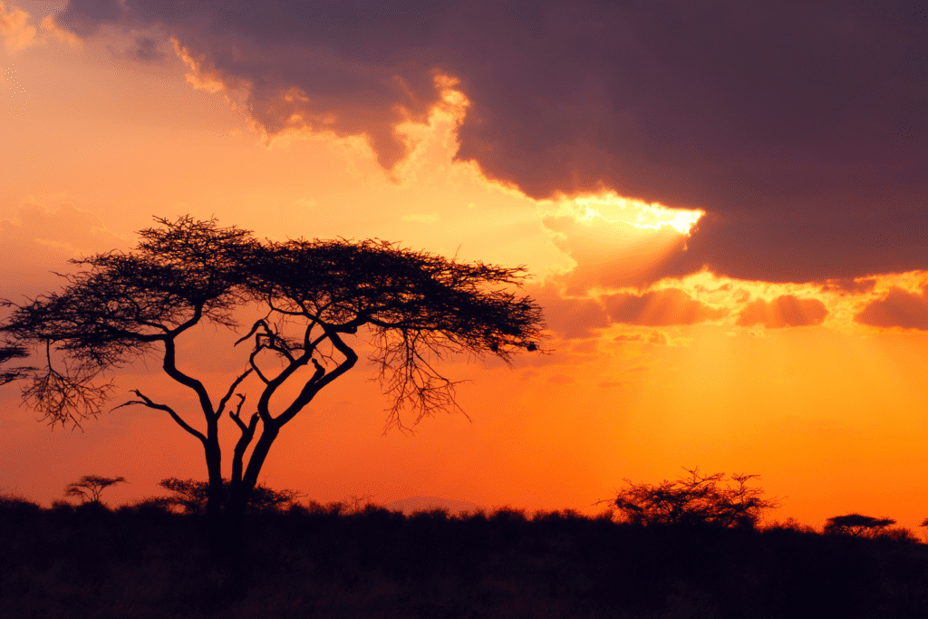 Africa Forum Roundtable