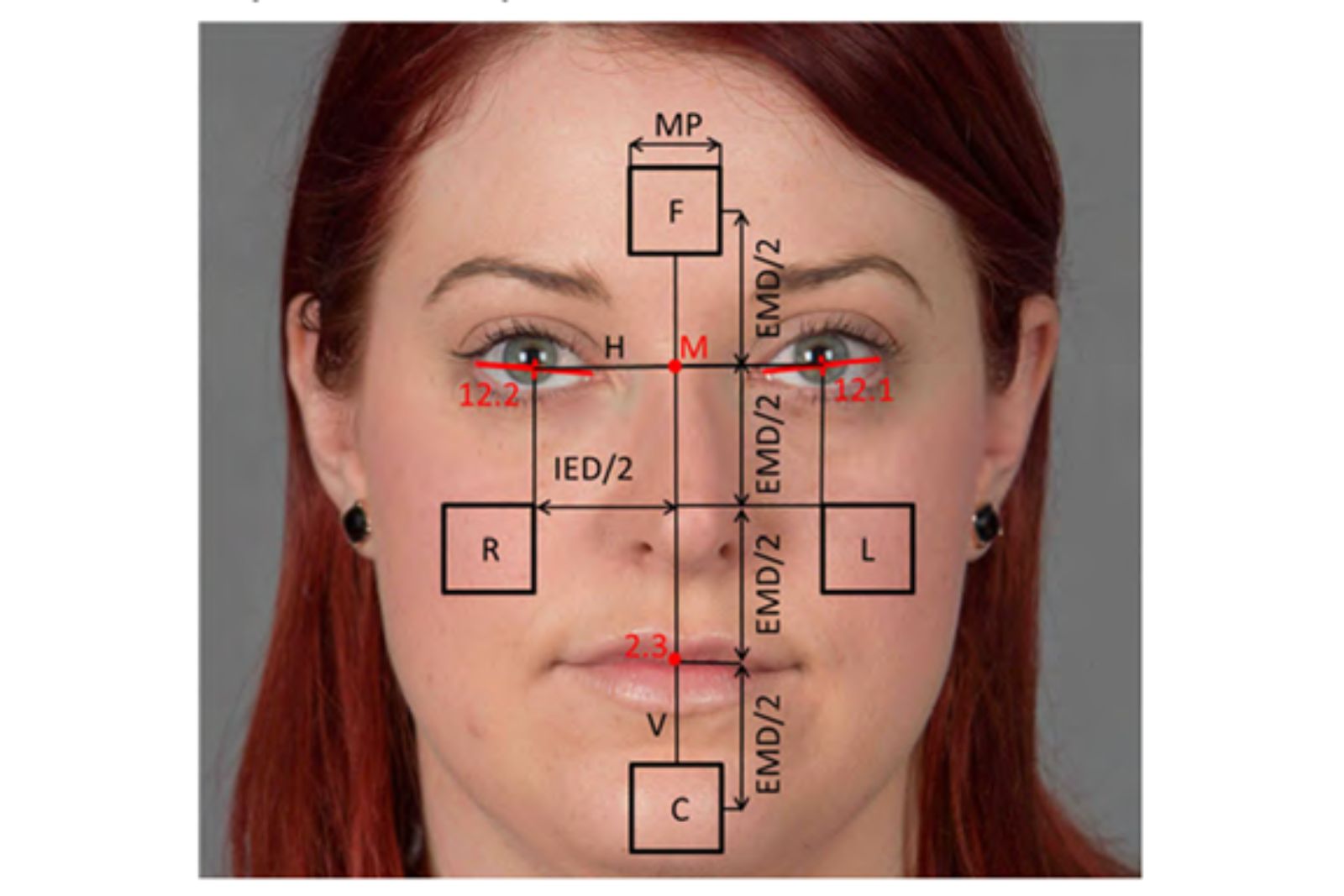 Faces, From Human to Machine Recognition: Biometric Advances and the ...