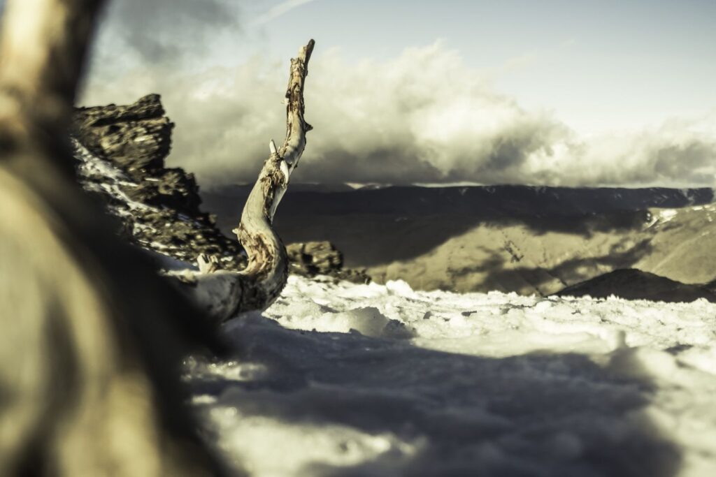 Human Shields and the Changing Nature of War