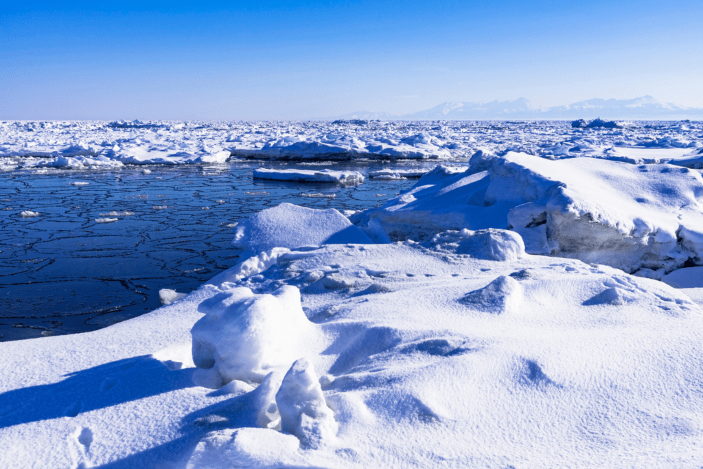 Northern Defence the Arctic and Canada's Sovereign Future
