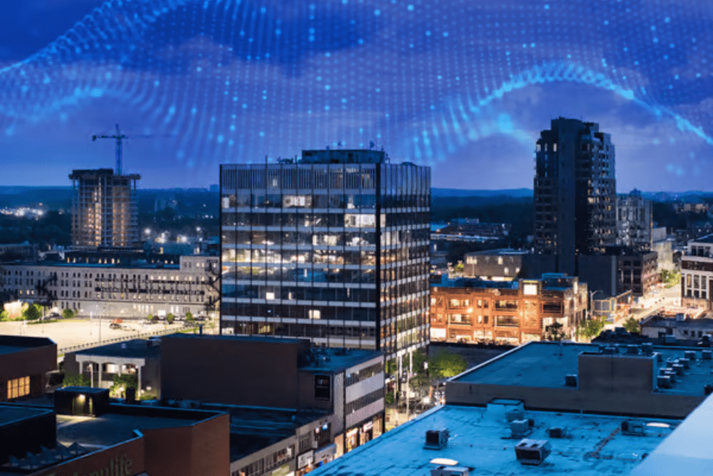 AI Opportunity, Risk and Choices Ahead